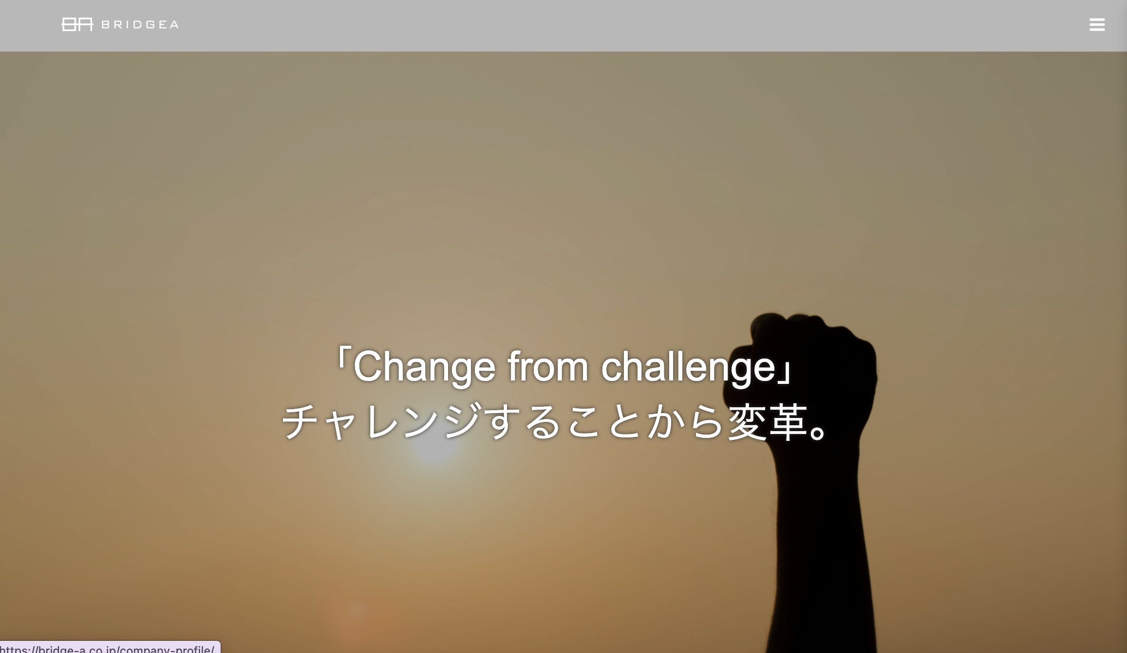 ブリジアのサービスサイト